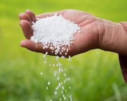 Urea Fertilizer